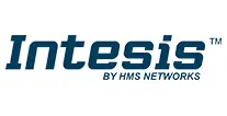 intesis logo 001